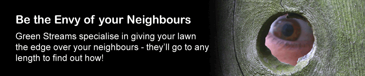 Be the Envy of all your neighbours